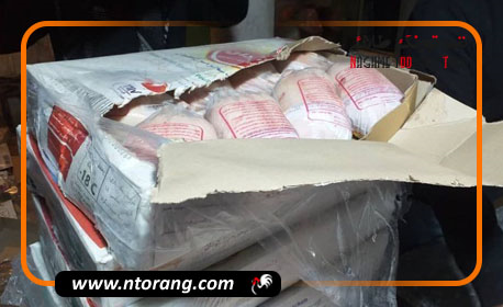 عدم نیاز به عرضه مرغ منجمد در بازار
